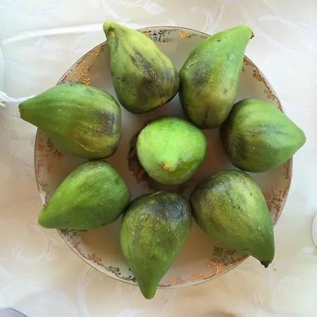 Отель типа 